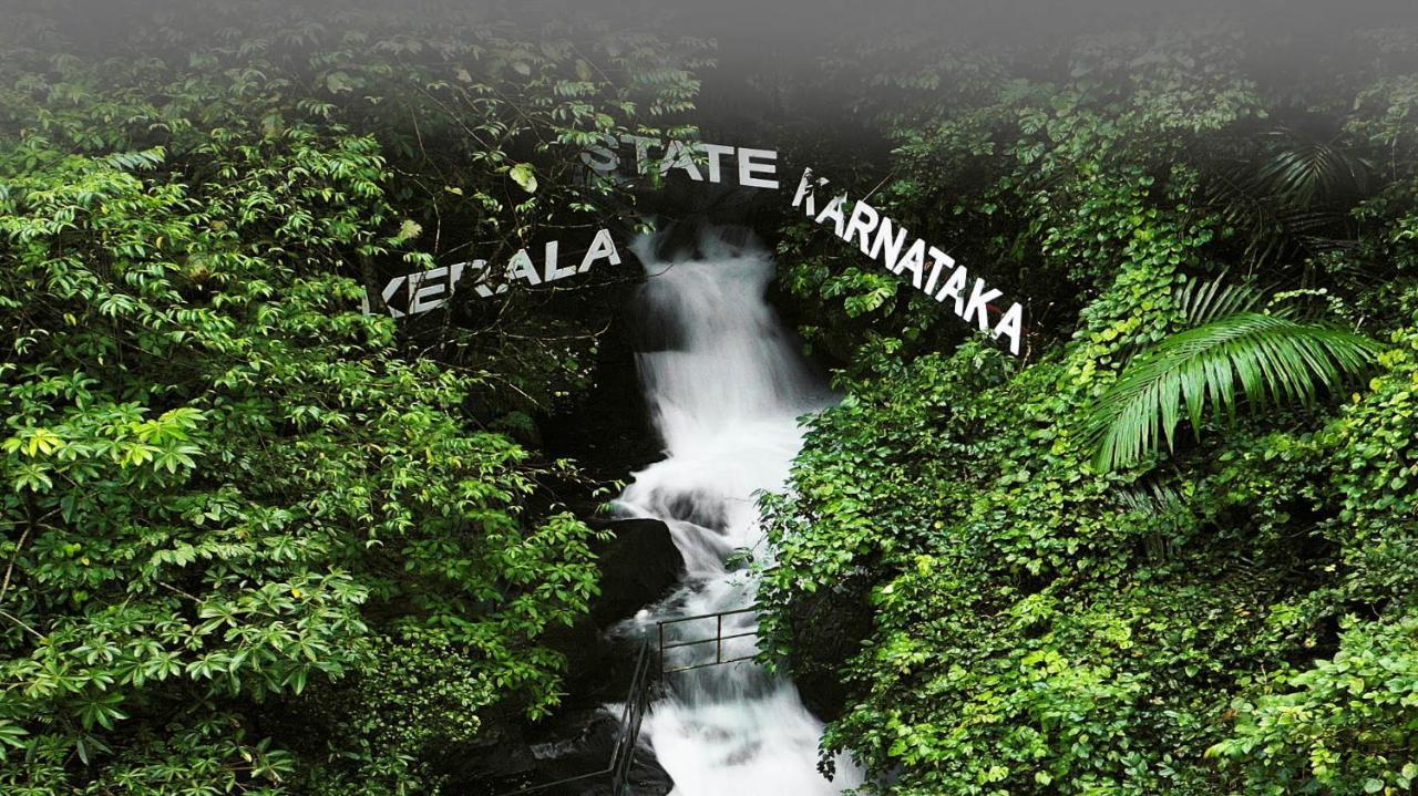 Holistic Stay Eco-Resort & Ayurvedic Retreat Paithalmala المظهر الخارجي الصورة