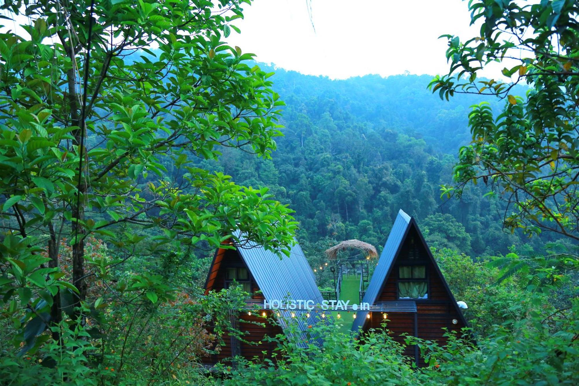 Holistic Stay Eco-Resort & Ayurvedic Retreat Paithalmala المظهر الخارجي الصورة