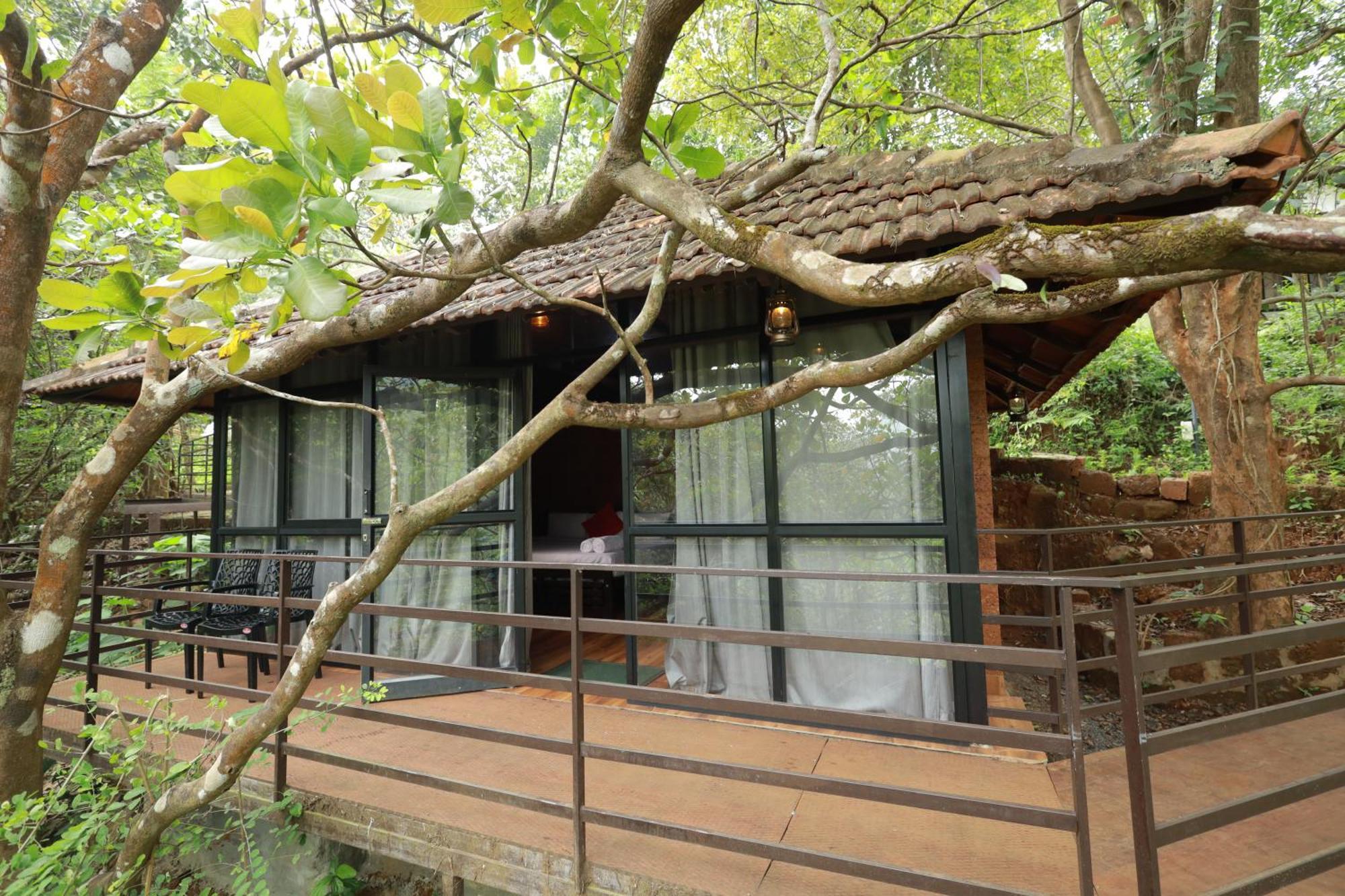 Holistic Stay Eco-Resort & Ayurvedic Retreat Paithalmala المظهر الخارجي الصورة